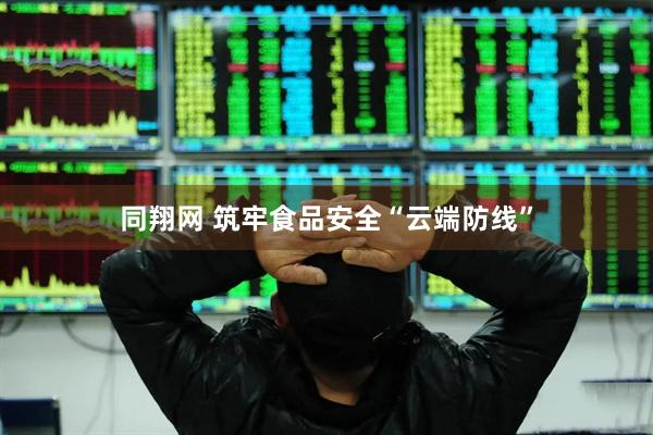 同翔网 筑牢食品安全“云端防线”