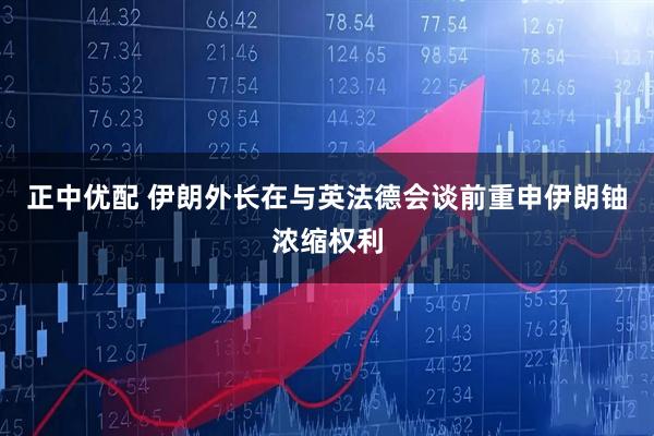 正中优配 伊朗外长在与英法德会谈前重申伊朗铀浓缩权利