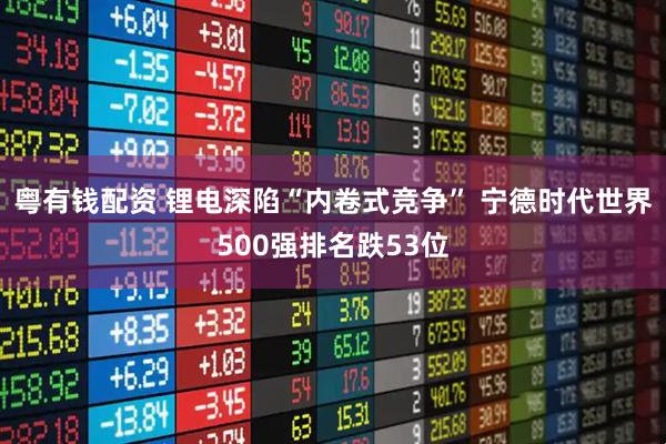 粤有钱配资 锂电深陷“内卷式竞争” 宁德时代世界500强排名跌53位