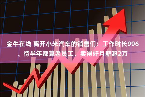 金牛在线 离开小米汽车的销售们：工作时长996、待半年都算老员工、卖得好月薪超2万