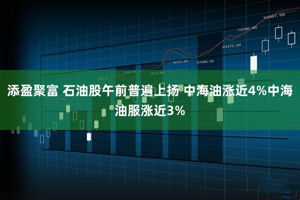 添盈聚富 石油股午前普遍上扬 中海油涨近4%中海油服涨近3%